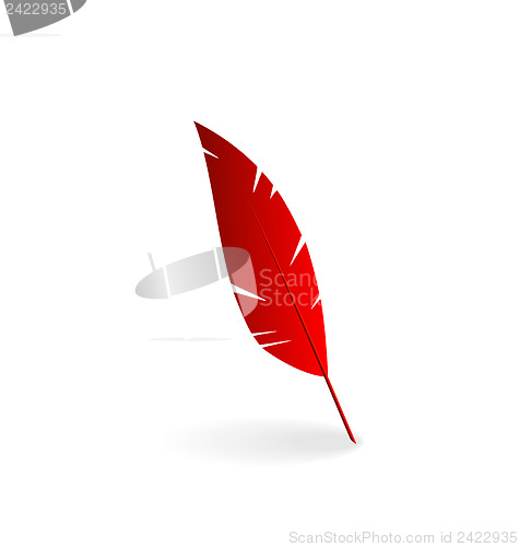 Image of Red feather isolated on white background