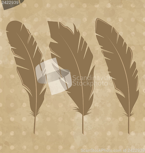 Image of Set vintage feathers on grunge background