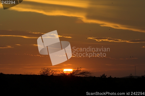 Image of African Sunset