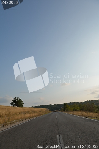 Image of road through the green field