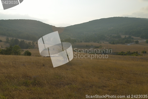 Image of summer landscape