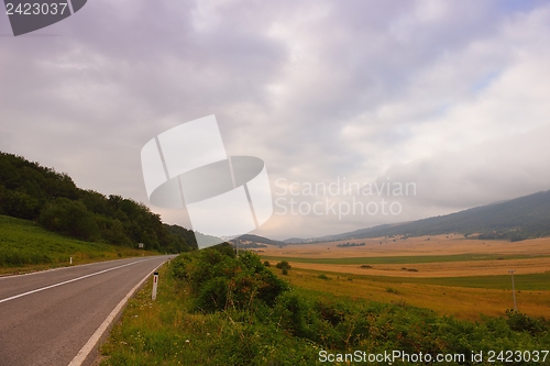 Image of road through the green field