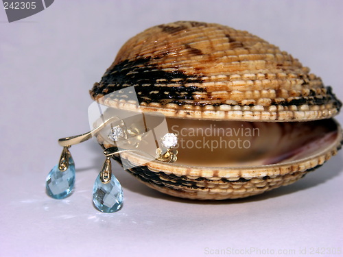 Image of Shell earrings