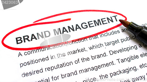 Image of Brand Management