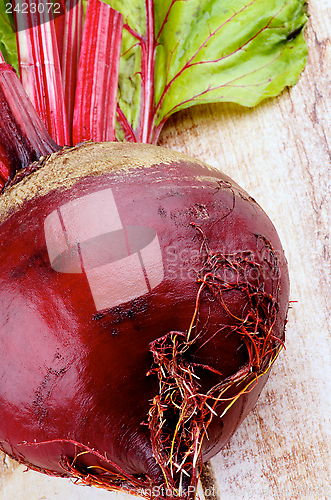 Image of Beetroot