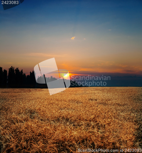 Image of sunset on field at summer