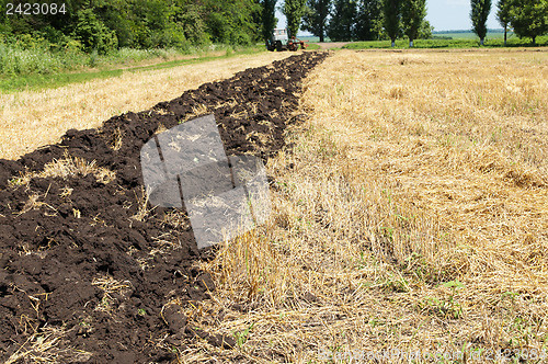 Image of field after harvesting