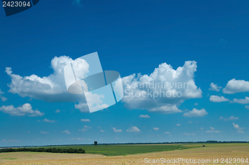 Image of view to field after harvesting