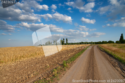 Image of rural road and field of wheat with low dark cloud