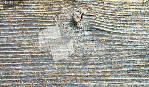 Image of textured surface of board with a twig