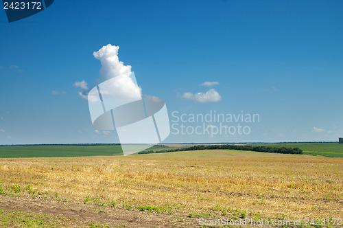 Image of view to field after harvesting