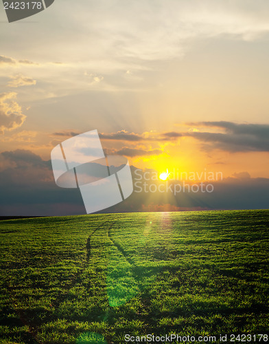 Image of road in green field on sunset