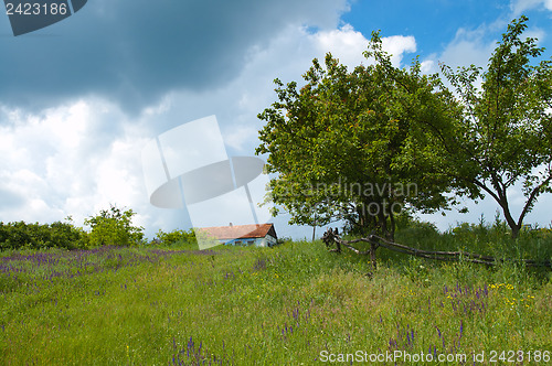 Image of green tree, grass and sky with clouds around old house