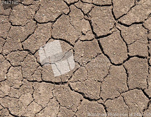 Image of Dry soil with cracks