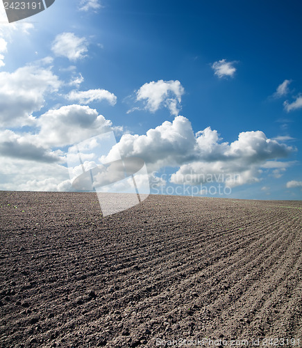 Image of black ploughed field under blue cloudy sky