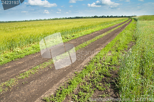 Image of rural road in green field