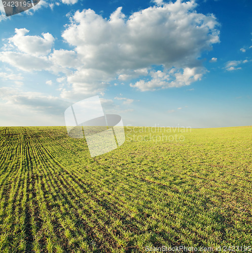 Image of green field under cloudy sky