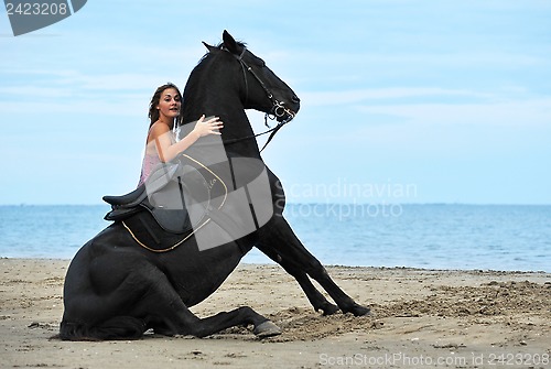 Image of sitting horse on the beach