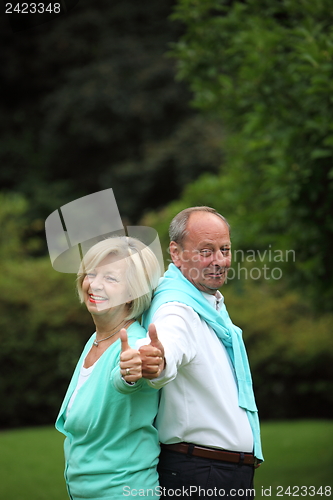 Image of Enthusiastic senior couple giving a thumbs up