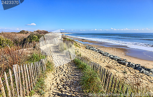 Image of Footpath on the Atlantic Dune in Brittany