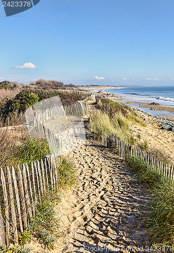 Image of Footpath on the Atlantic Dune in Brittany
