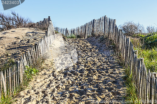 Image of Footpath on the Atlantic Dune in Brittany