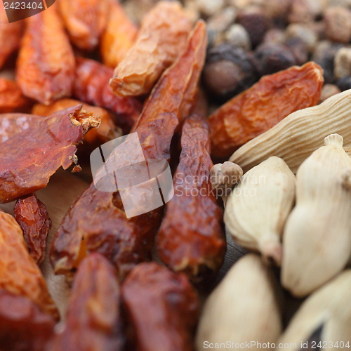 Image of Background of chilli peppers and cardamom