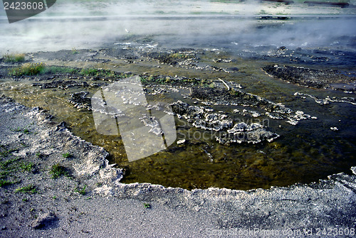 Image of Hot Spring in Yellowstone National Park