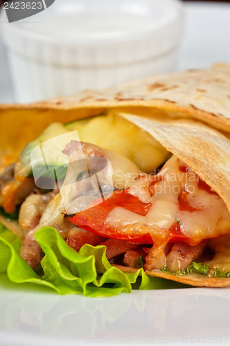 Image of burrito