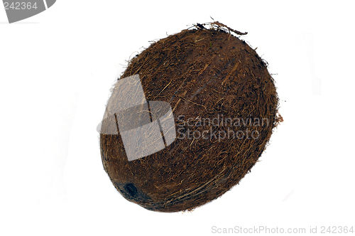 Image of Coconut