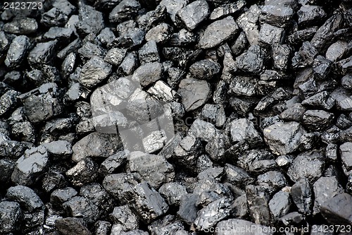 Image of Pile Of Black Coal