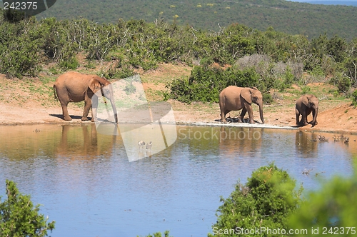 Image of Scenic Reflection