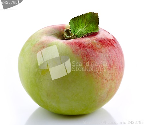 Image of fresh apple