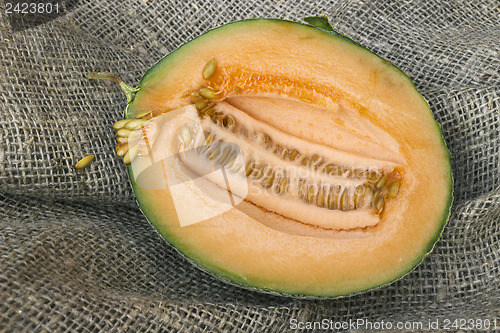 Image of Half a small butternut squash melon