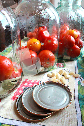 Image of tomatos in jars prepared for preservation