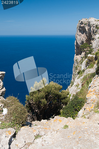 Image of Cliff and blue sea