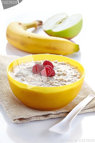 Image of Bowl of oats porridge