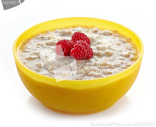 Image of Bowl of oats porridge