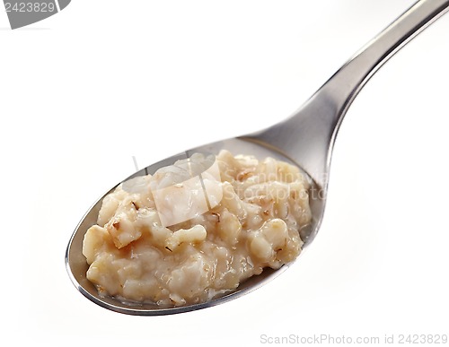 Image of Spoon of oats porridge