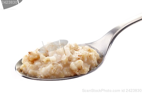 Image of Spoon of oats porridge