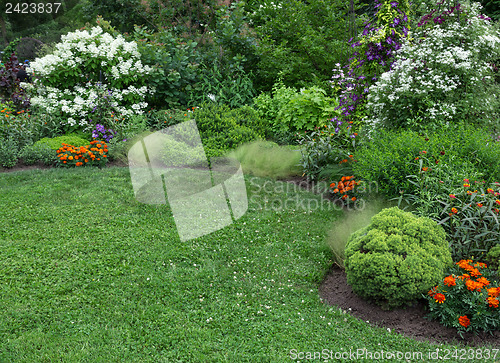 Image of Summer garden with green lawn