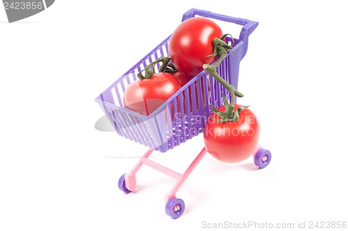 Image of Conceptual photo with miniature shopping-cart