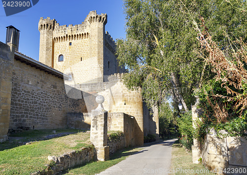 Image of Castle of Sajazarra, La Rioja