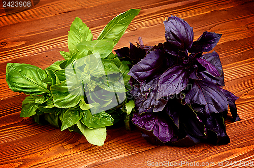 Image of Basil Leaves