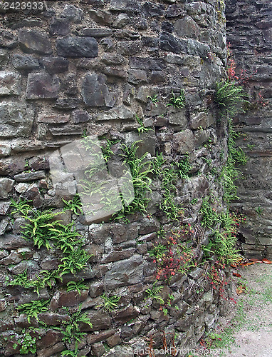 Image of stone wall detail