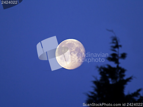 Image of Waning Gibbous Moon