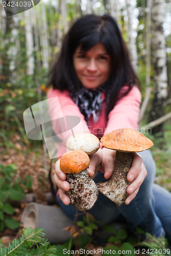 Image of Mushrooms in hands