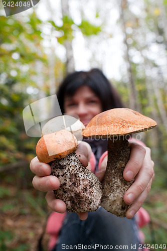 Image of Mushrooms in hands