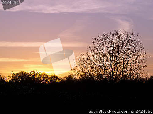 Image of April Sunset