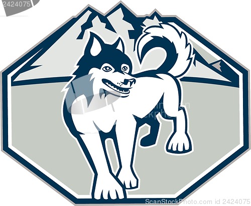 Image of Siberian Husky Dog Mountain Retro